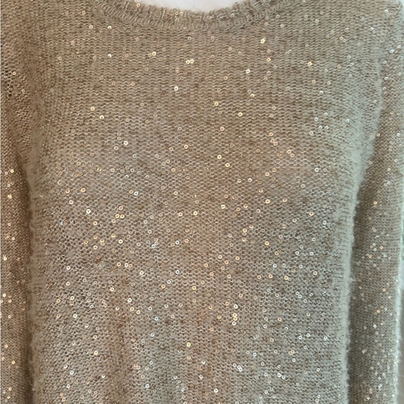 The Limited Tan and Gold sequins  Crew Neck Sweater - Picture 2 of 7